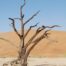 comment-organiser-voyage-namibie-guide-voyage