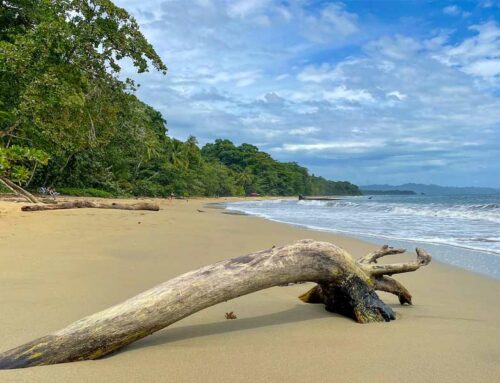 Les meilleures plages du Costa Rica à voir