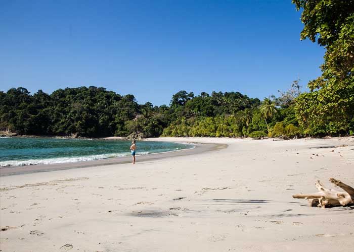 plage-parc-manuel-antonio-costa-rica
