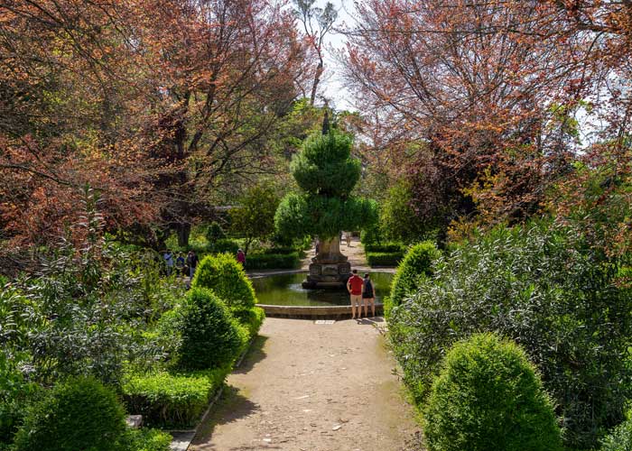 jardin-botanique-coimbra