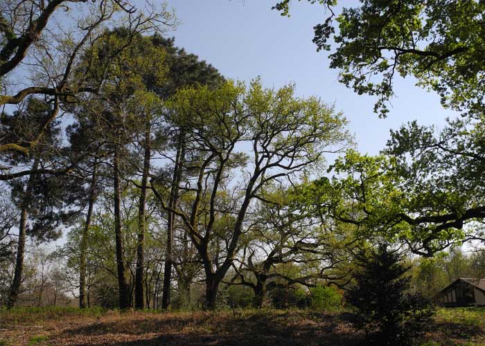 parc-naturel-regional-des-landes-de-gascogne