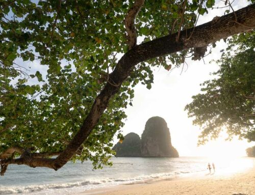 Les meilleures choses à faire et à voir à Koh Samui