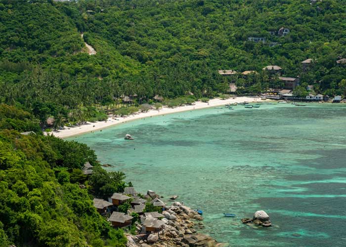 shark-bay-koh-tao