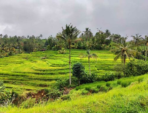 Votre aventure inoubliable à Bali : Les incontournables