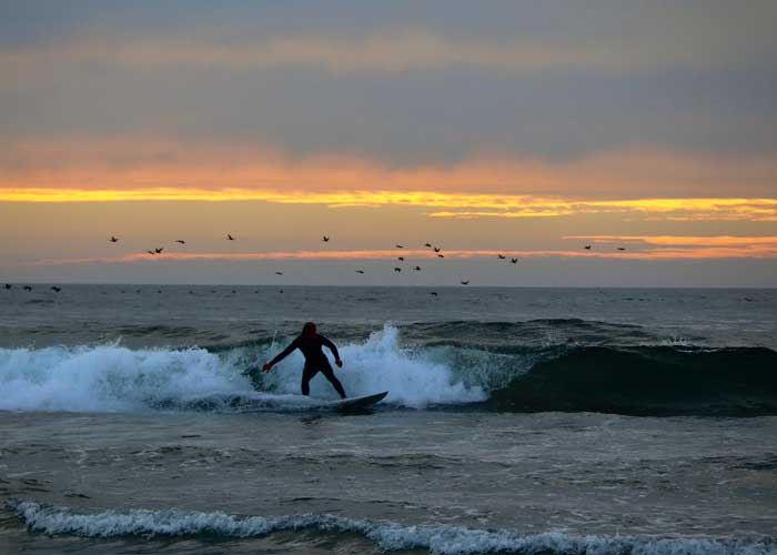 surfer-en-californie