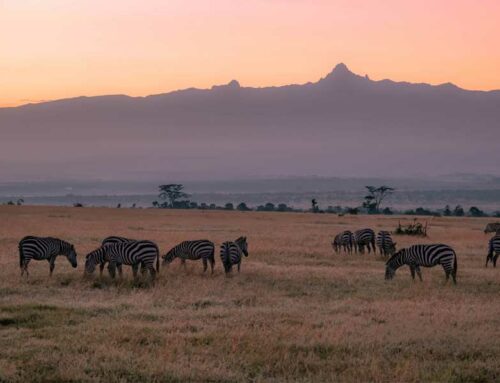 Conseils pour voyager au Kenya