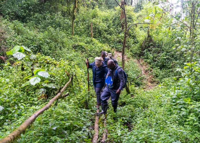 guide-treking-ouganda