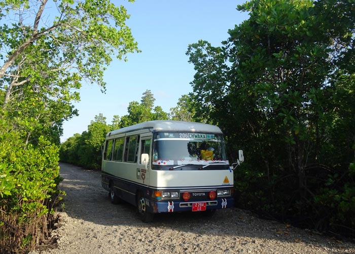 dala-dala-moyen-transport-local-zanzibar