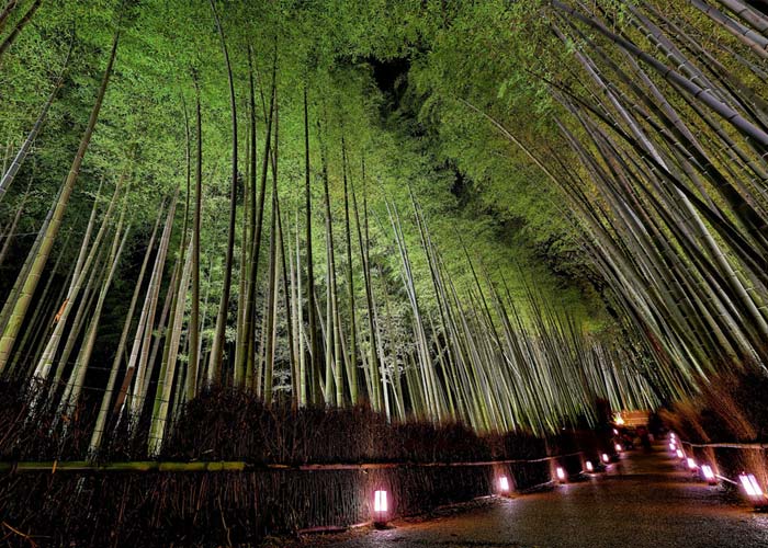 fete-azashiyama-hanatoro-kyoto