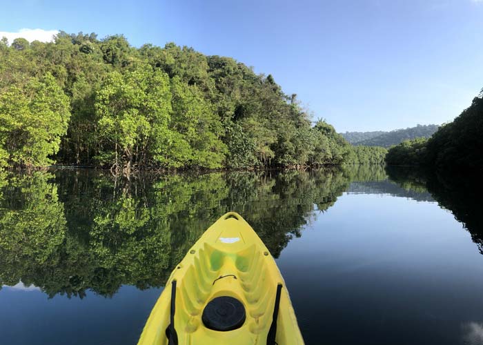 kayak-mangrove-koh-kood