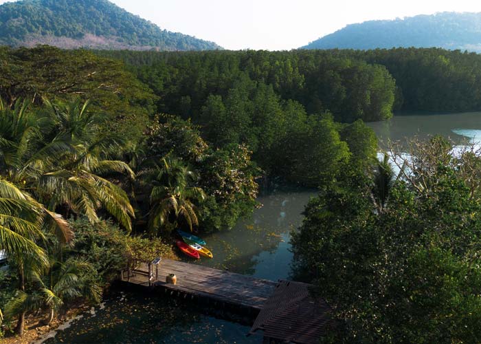 kayak-mangroves-salak-khok-koh-chang