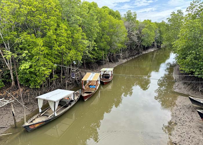 mangrove-tung-yee-peng-village