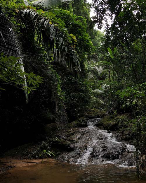 randonnee-parc-national-khao-phra-thaeo-phuket