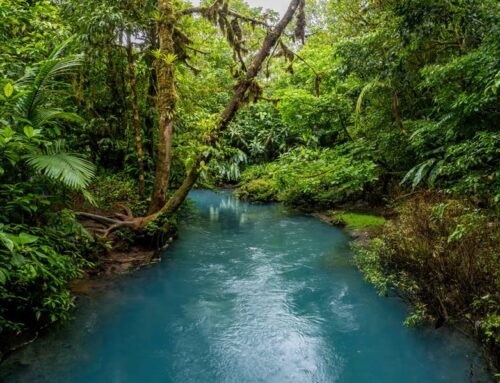 Conseils pour visiter Rio Celeste (Parc National du Volcan Tenorio)