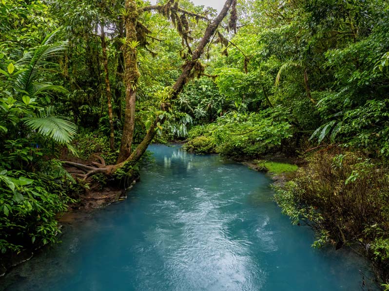 conseils-pour-visiter-rio-celeste-parc-national-du-volcan-tenorio