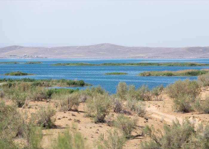 lac-aydarkul-ouzbekistan