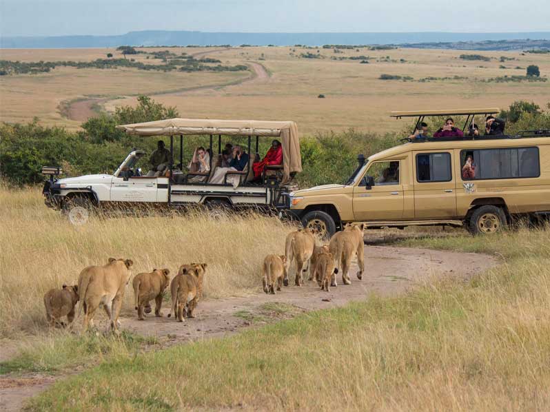 quel-est-le-meilleur-safari-kenya-ou-tanzanie