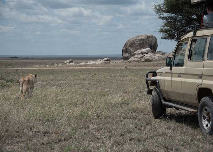 trajet-en-voiture-safari-kenya